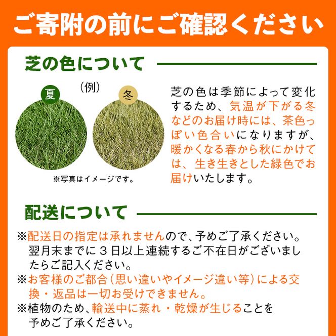 ＜先行予約受付中！R7年1月頃配送予定＞鹿児島県産＜天然芝＞姫高麗芝 2平米(約1平米×2セット) a0-339