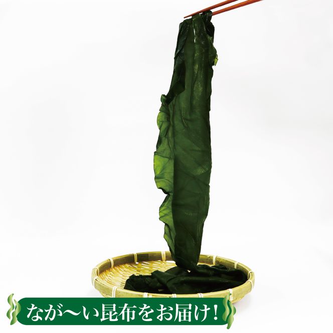 塩蔵こんぶ1.6kg 200g×8袋 昆布 こんぶ 昆布 コンブ 出汁 ダシ 和食 煮物 おでん 海藻 海産物 三陸 国産 岩手県 国産 味噌汁 ごはん 夕飯 おかず サラダ 大船渡 三陸 岩手県 国産 [56500359_1]