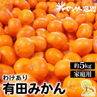 2ページ目）みかん・柑橘類の返礼品一覧 | ふるさと納税サイト