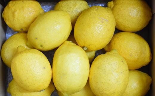 和歌山有田産 国産レモン 約2kg ★2026年2月中旬頃より順次発送［安心果実］ BZ118