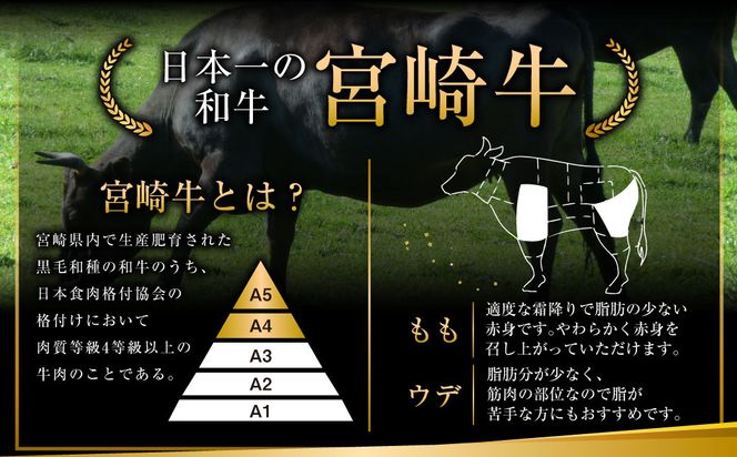 ＜宮崎和牛焼肉セット計1.2kg＞2025年2月より順次出荷します【c438_hn_x2】
