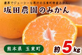 熊本県玉東町産限定『坂田農園』のみかん 大容量 約5kg(2S-L サイズ) 予約受付中 フルーツ 秋 旬 ジャム ゼリー 玉東町70年のベテラン！濃厚な食味とジューシーな果汁 熊本県玉東町《10月上旬-1月末頃出荷》---gkt_skt_7_5kg---