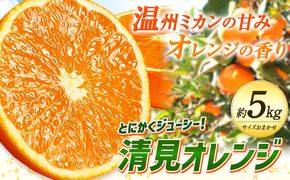 とにかくジューシー 清見 オレンジ 5kg 株式会社魚鶴商店《2025年3月上旬-4月上旬頃より出荷予定》和歌山県 日高町 柑橘 果物 フルーツ 清見オレンジ---wsh_uot32_ad34_24_14000_5kg---