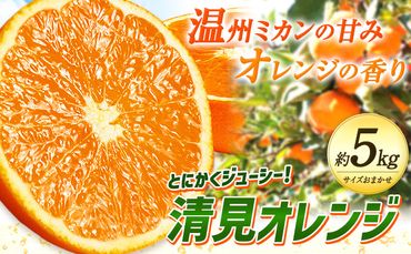 とにかくジューシー 清見 オレンジ 5kg 株式会社魚鶴商店《2024年3月上旬-4月上旬頃より出荷予定》和歌山県 日高町 柑橘 果物 フルーツ 清見オレンジ---wsh_utr9_ad34_23_14000_5kg---