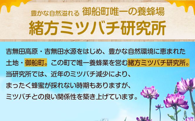 熊本県御船町産 純粋はちみつ600g 御船町観光協会《30日以内に出荷予定(土日祝日除く)》 国産 山野蜜 緒方ミツバチ研究所---mifune_imk_1_600g---