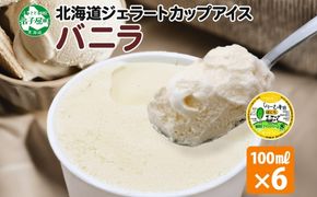 2329. くりーむ童話 カップアイス バニラ 100ml×6個 アイスクリーム アイス スイーツ おやつ 牛乳 ミルク 贈り物 gift ギフト プレゼント 詰め合わせ 送料無料 北海道 弟子屈町