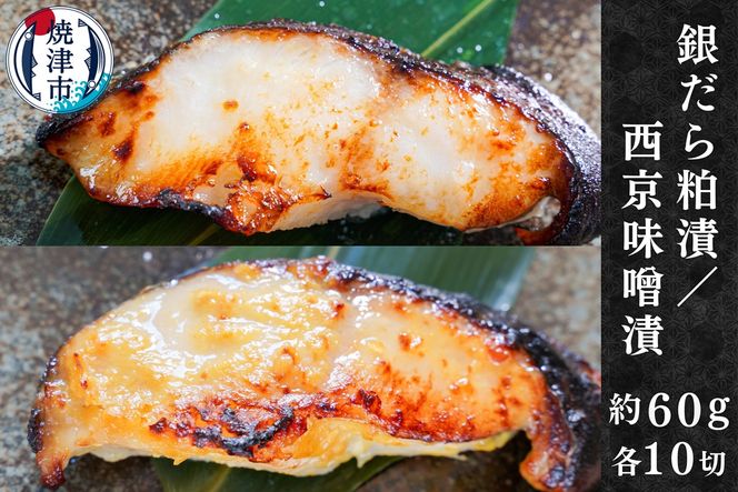 yÉĒÎsza20-375@₾甔Ђ ₾琼Ђ 60g×e10؂