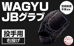 宮崎県産牛革使用 WAGYU JB 硬式用 グラブ 投手用 JB-001Y(ブラック/右投げ用)_M147-004_01