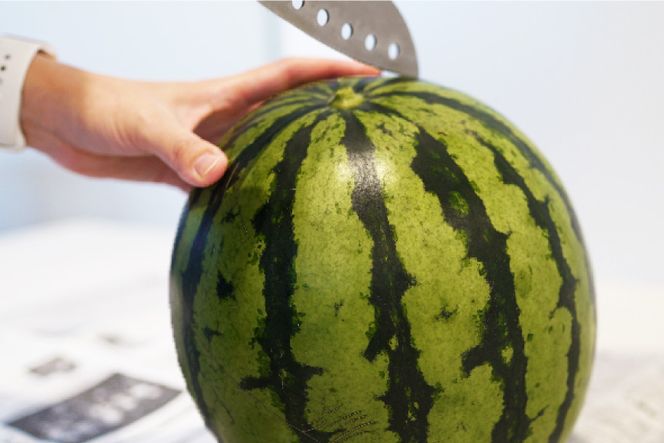た*ー様 羅皇14.2キロ スイカ 大玉 熊本県から産地直送 タネフリー組合 黄肉スイカ「金色羅皇