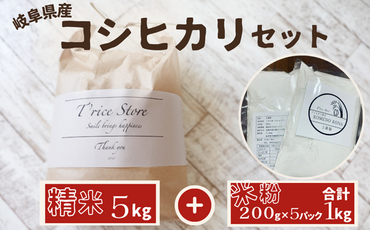 BE-28a 岐阜県産 コシヒカリ と コシヒカリ１００％ 米粉 の セット【精米5kg 上新粉１kg】