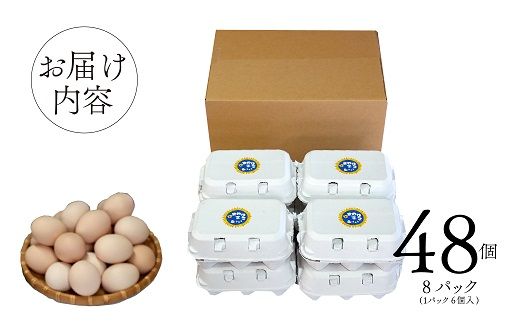 【パルシステム山梨採用】エサにこだわって育てたひまわりたまご ４８個（６個入りパック×８パック）  紅白たまご たまご 卵 玉子 タマゴ 鶏卵 新鮮 小分け パック 国産 贈答 おすそ分け 人気 たまごかけご飯 ふるさと納税限定