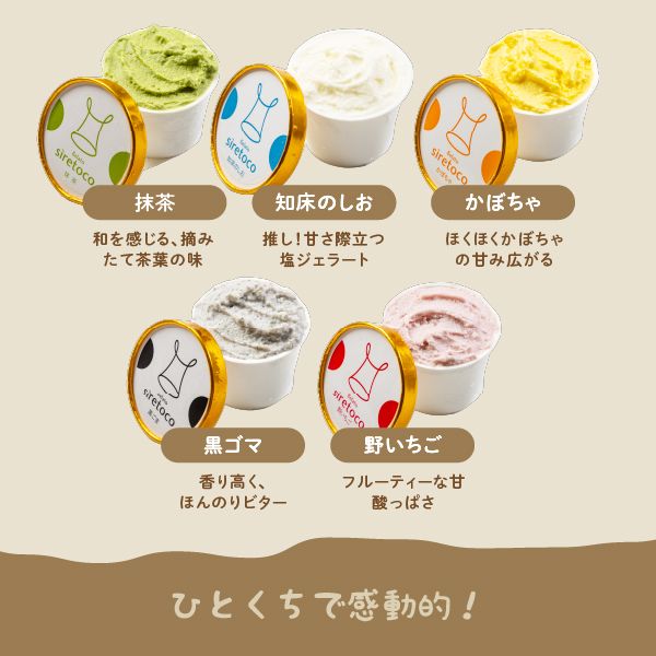 北海道感動カップジェラート 10種 12個 セット ジェラート アイス カップ カップアイス アイスクリーム シャーベット オンライン 申請 ふるさと納税 北海道 中標津 デザート スイーツ おやつ 新鮮 ミルク しぼりたて 絶品 詰め合わせ 中標津町【1200101】