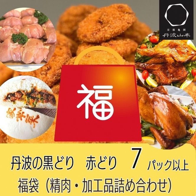 期間限定 鶏肉・加工品 お楽しみ 福袋（大）＜京都亀岡丹波山本＞おまかせ 7品 詰め合わせ 人気・チキンカツ30枚入