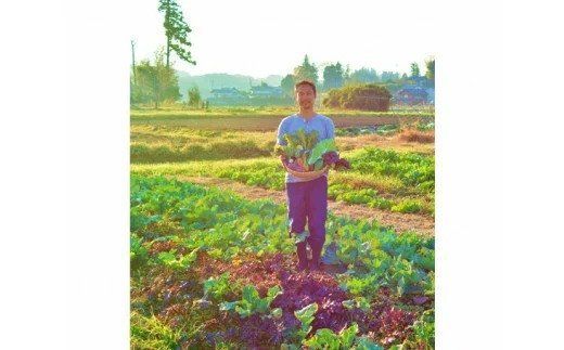 OGAWA'N　野菜セットの定期便（年12回） [JA埼玉中央 埼玉県 小川町 138]