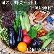 【12回定期便】＜アスカ有機農園＞旬の京野菜セットL（平飼い卵付）＊毎月お届け全12回 