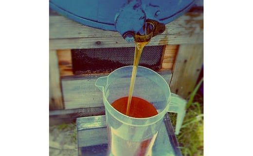 30-884　農家が養蜂！小田原で採れた生のハチミツ3種セット