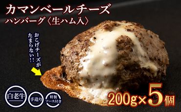 北海道産 白老牛 カマンベールチーズハンバーグ 5個セット 冷凍 チーズ イン ハンバーグ BY085