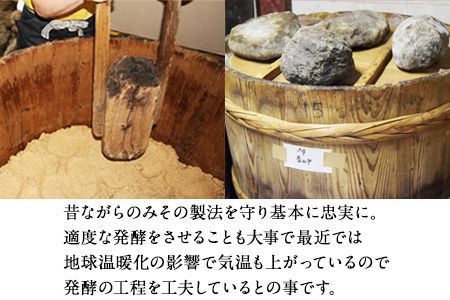 「田河東洋男商店」 ふるさと 簡単味噌汁ギフト 14g×20食分 熊本県氷川町産《14日以内に出荷予定(土日祝除く)》---sh_tagawamiso_z_21_14000_20p---