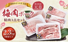 （飼育期間中）完全無薬！ 梅肉エキス肥育 天草梅肉ポーク 精肉3点セット 約2.3kg 焼肉 バーベキュー BBQ 豚バラ もも スペアリブ 肉 お肉 豚肉 冷凍 詰め合わせ 食べ比べ セット 熊本県 上天草市