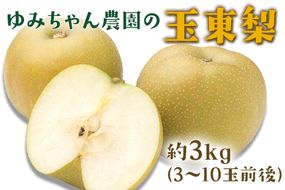 『ゆみちゃん農園』の玉東梨 約3kg 3玉-10玉前後 《8月下旬-10月上旬頃出荷》熊本県玉名郡玉東町 梨 なし 果物 フルーツ 旬の梨---sg_cyuminashi_l810_25_11500_3kg---