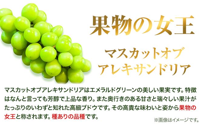 岡山県産マスカット（マスカット オブ アレキサンドリア　1房750g以上）令和7年産先行受付《7月上旬‐8月中旬頃出荷》【配送不可地域あり】---H-27a---