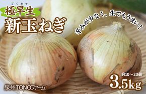 005A499 【先行予約】極早生 新たまねぎ 3.5kg【新鮮 野菜 泉佐野産 玉ねぎ 玉葱 やさい TONOファーム 数量限定】