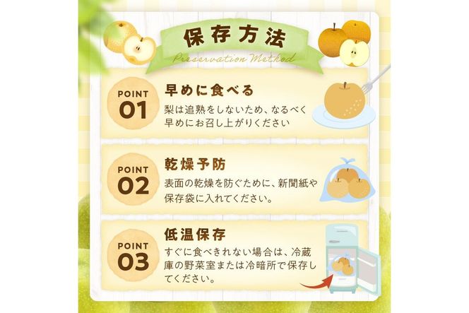 【先行予約／数量限定700】20世紀梨（訳あり） 5kg（10～16玉）（2026年8月下旬～発送）　DE00158