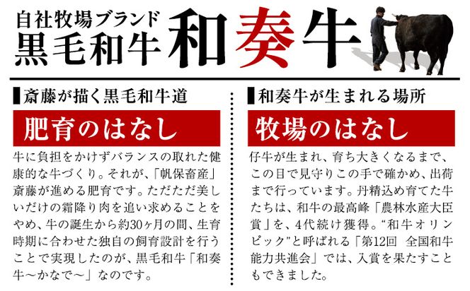 厳選くまもと黒毛和牛ハンバーグ 3個 (1個150g)《30日以内に出荷予定(土日祝除く)》熊本県 大津町 和牛焼肉LIEBE くまもと黒毛和牛 ハンバーグ 冷凍 リーベ---so_fliekrham_30d_24_10000_3p---