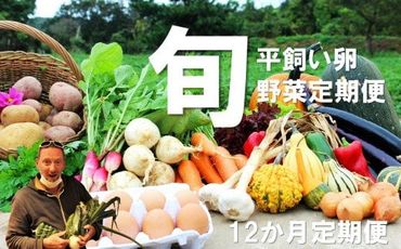 【定期便】旬のお野菜定期便（12か月）