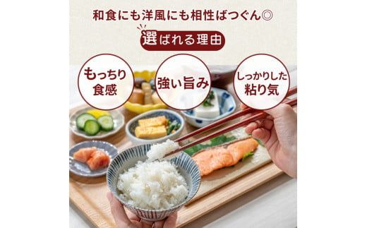 令和7年産米 土浦市産 コシヒカリ 精米5kg ｜ 茨城県土浦市のお米が収穫される旧新治村地区は、ホタルが舞うのどかな里です ※離島への配送不可　※2025年9月中旬～2026年7月下旬頃に順次発送予定