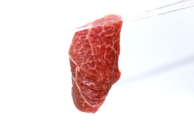 【2回 定期便 】至福の焼肉セットB 1kg×2回 総計2kg《隔月1回お届け》[ 仙台牛 焼肉 牛肉 豚肉 ] / 関精肉畜産 / 宮城県 加美町 [44580899]