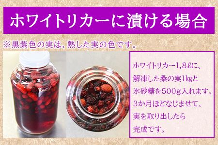 ＜桑の実（冷凍） 1kg＞翌月末迄に順次出荷【c808_mz_x4】