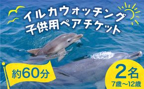 南島原 イルカウォッチング 子ども用 ペアチケット / イルカ 観光 南島原市 / 南島原イルカウォッチング[SAE004]