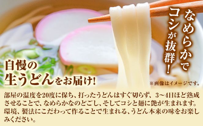 うどんよし野 冷凍 生うどん 8人前 (うどん2人前×4袋 つけ汁2人前×4袋) 岡山県矢掛町 《30日以内に出荷予定(土日祝除く)》茹で方 レシピつき---osy_fuysnud_30d_24_11000_8---