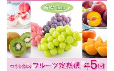 フルーツ定期便≪豊≫全5回　旬の果実をお届け3-4名様 065-007