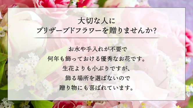 赤 ・ ピンク 系 プリザーブド フラワー S ギフト プレゼント 花 お祝い 贈答 記念日 [CT070ci]