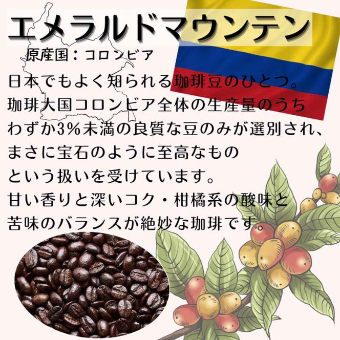 RA-14 【定期便】自家焙煎 プレミアム珈琲豆 3種セット（3か月）（豆のまま）