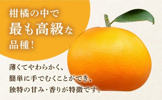 【2027年2月～発送】期間限定！せとか 2kg / みかん 贈答用 化粧箱 南島原市 / JA島原雲仙東南部基幹センター[SAC002] 