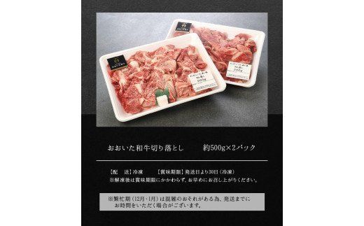 【A01095】おおいた和牛　切り落とし　約1.0kg