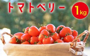 【2025年1月〜発送】トマトベリー 1kg   / トマト 野菜 サラダ ミニトマト プチトマト / 南島原市 / 長崎県農産品流通合同会社 [SCB029]