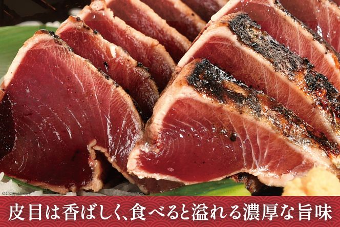 訳あり 気仙沼港水揚 かつお タタキ 600g [阿部長商店 宮城県 気仙沼市 20564307] 魚介類 魚介 海鮮 魚 さかな 真空パック 鰹 カツオ 鰹たたき たたき 冷凍 規格外 不揃い 訳アリ わけあり