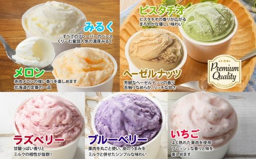 2366. 無地熨斗 くりーむ童話 カップ アイス 100ml×15個 みるく メロン いちご ラズベリー ブルーベリー ヘーゼルナッツ ピスタチオ アイスクリーム 詰め合わせ 送料無料 北海道 弟子屈町