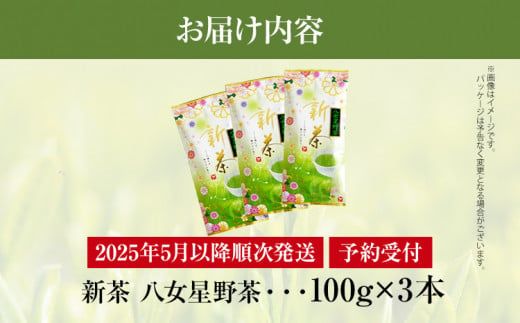 【予約返礼品/2025年5月以降順次発送】新茶 八女星野茶 100g×3本 緑茶 八女茶 お茶 茶葉 セット お取り寄せグルメ お取り寄せ 福岡 お土産 九州 福岡土産 取り寄せ グルメ 福岡県