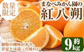 ＜先行予約受付中！2025年2月上旬以降発送予定＞まなべみかん園の紅八朔(約9kg)国産 柑橘類 みかん ミカン 蜜柑 果物 フルーツ【有限会社まなべみかん園】a-14-11-z