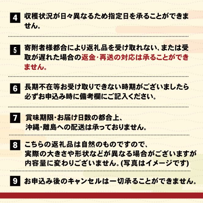 【2026年先行予約】 生うに 牛乳瓶 300g 150g × 2本 ★2026年5月下旬～発送予定★ 無添加 ミョウバン不使用 冷蔵 岩手県 ［ 季節限定 生うに 生雲丹 天然 海鮮丼 寿司 ウニ丼 刺身 ］ [kakehata001_y300]