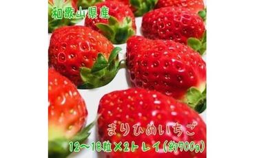 完熟まりひめいちご 12～18粒×2トレイ(約700g)【先行予約】【農家直送】【和歌山ブランド苺】【大人気】XD90097