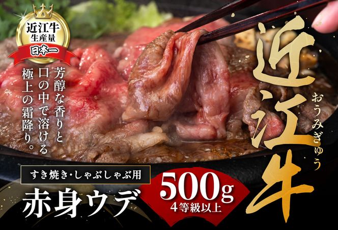 【4等級以上】【近江牛　ウデ】すき焼・しゃぶしゃぶ用【500ｇ】【BI02U】