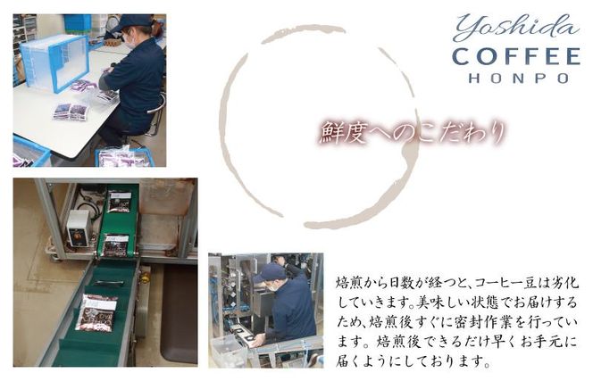 005A543m 【母の日】小箱ギフト3箱セット バリ アラビカ神山 吉田珈琲本舗【珈琲 こーひー コーヒー 自家焙煎 オリジナル ギフト キャンプ アウトドア 家計応援】