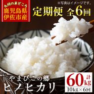 J0-02 【定期便6回】特別栽培ヒノヒカリ(計60kg・毎月10kg×6ヶ月) 【やまびこの郷】