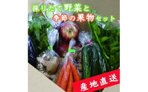 【産地直送】採りたて野菜と季節の果物セット≪旬の野菜 フルーツ 詰め合わせ 栃木県産≫◇